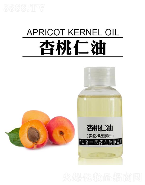 �������A�쌚�в�ˎ������Ʒ�S���A�쌚��������