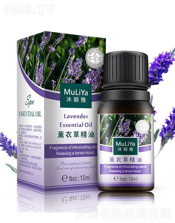 �V���а��ƅ^(q��)�ƿ�����(x��)�����S��������޹�²ݾ���