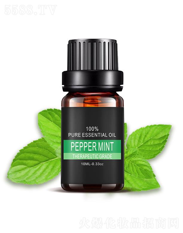 �V���а��ƅ^(q��)�ƿ�����(x��)�����S�������ű��ɾ���