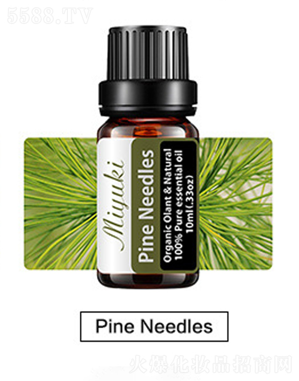 �V���׋I����Ƽ����޹�˾���o�w��޹��Ħ��-Pine Needles���