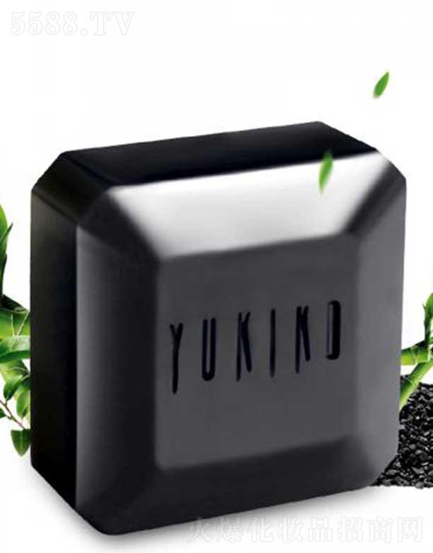 ѩ������Ƽ�(����)���޹�˾��ѩ����ʿ�๦�����������ͣ�