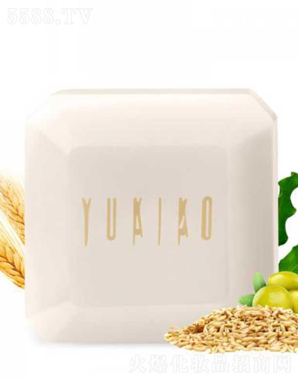 ѩ������Ƽ�(����)���޹�˾��ѩ����ʿ�๦���ֹ������̝��ͣ�