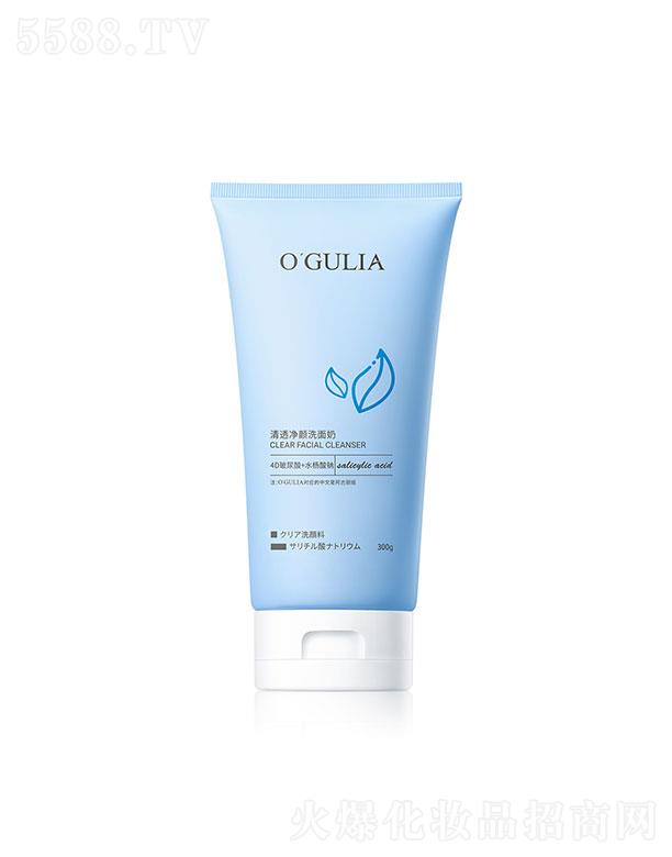 �V�����؋Ȼ��yƷ���޹�˾���������I��͸���ϴ����300g