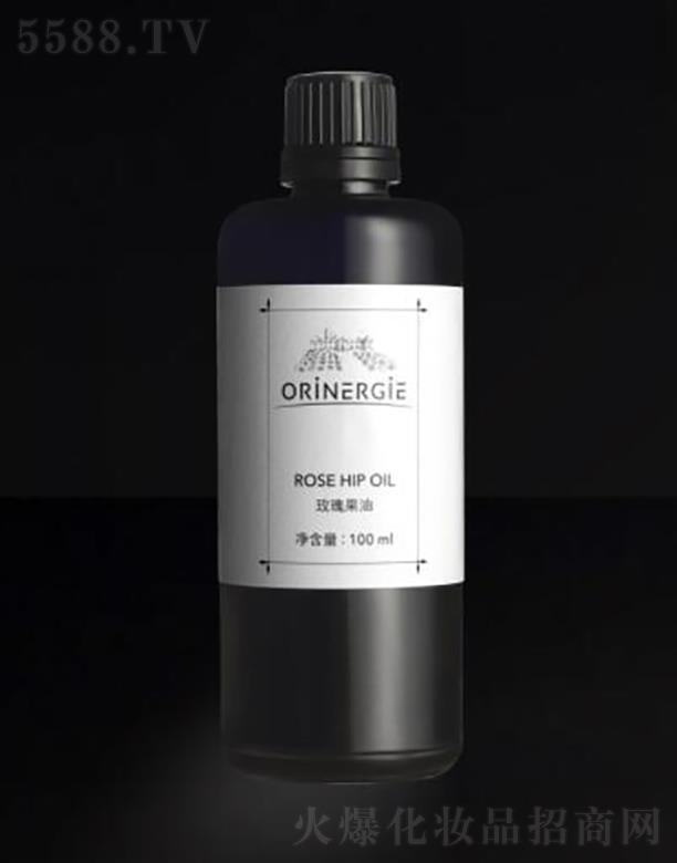 �W��{�������ڣ����ݿƼ����޹�˾��ORiNERGiEõ�����