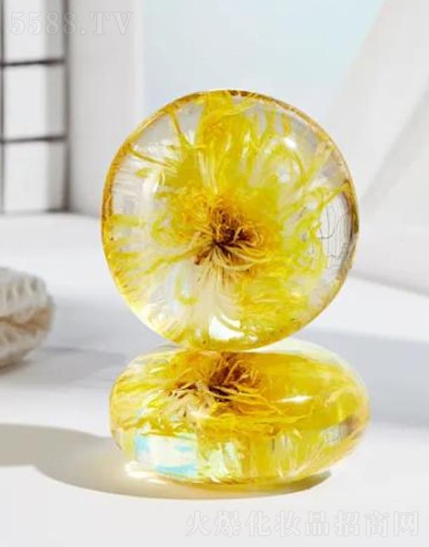 �V�����A�|������Ƽ����޹�˾��������