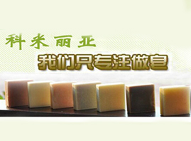 �B�T������������Ƽ����޹�˾