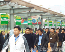 ���I(y��)���[��(hu��)ȺӢ�C������푻𱬼��Y(ji��)̖(h��o)