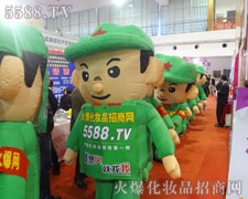 ��ݰ���Ě�ģ������