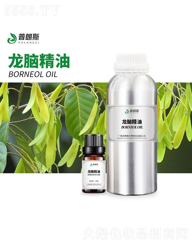 ����˹���X����