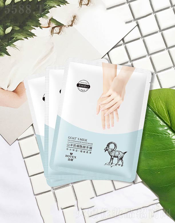 ɽ���̟�������Ĥ