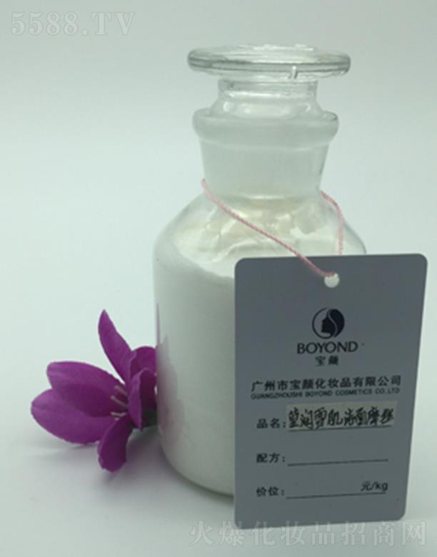 �V�݌����(r��n)ѩ������Ħ�z