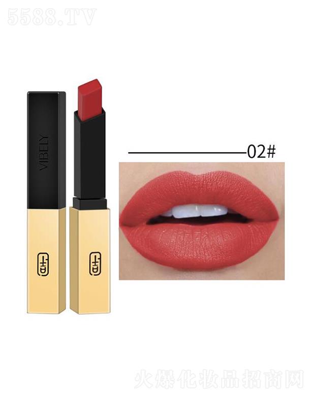 VIBELY����С��l�놡�ⴽ��02#