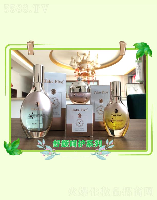 TakeFive ����oϵ��