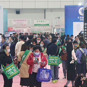 2020���ϸ߶����I(y��)���[���҂������̈F��c�͑�һ·���S��