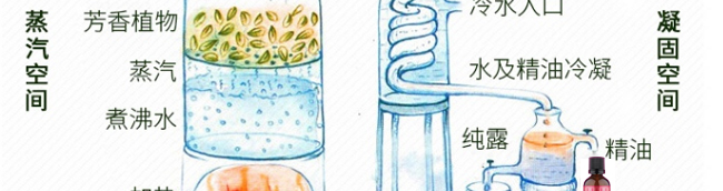 �����_(d��)���(sh��)����