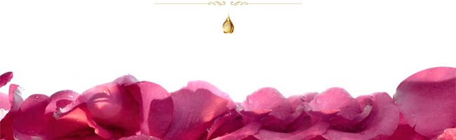 �����鰴Ħ��ϵ��