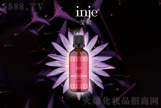 �����_(d��)��侫��