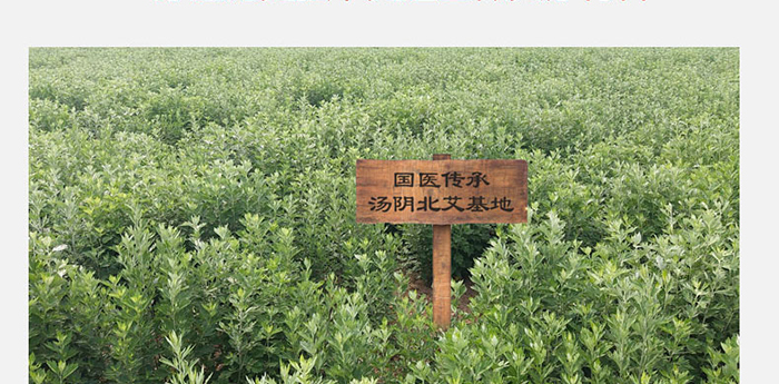 ��Ů��͸��