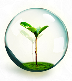 雅智美_資質(zhì)認(rèn)證